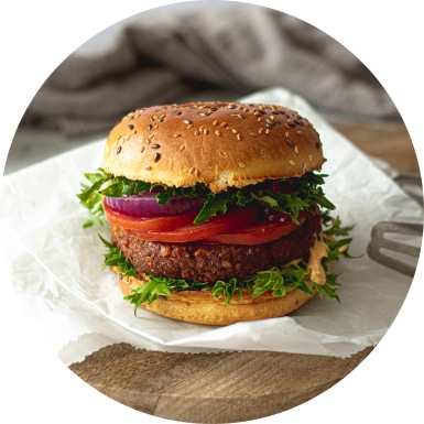 Ellipse 47 | Vegan burger